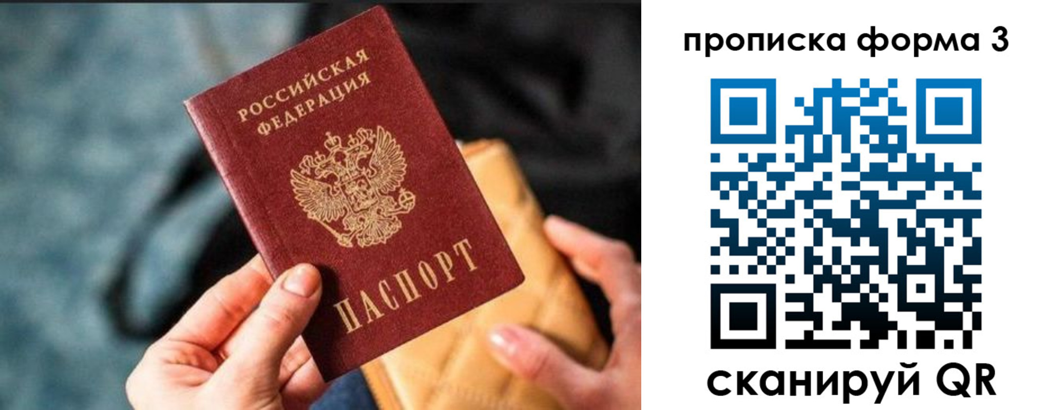 прописка гарантия в Волгодонске